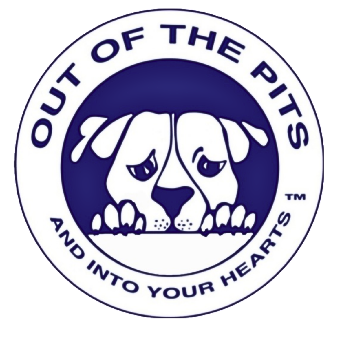 Out of the Pits.png