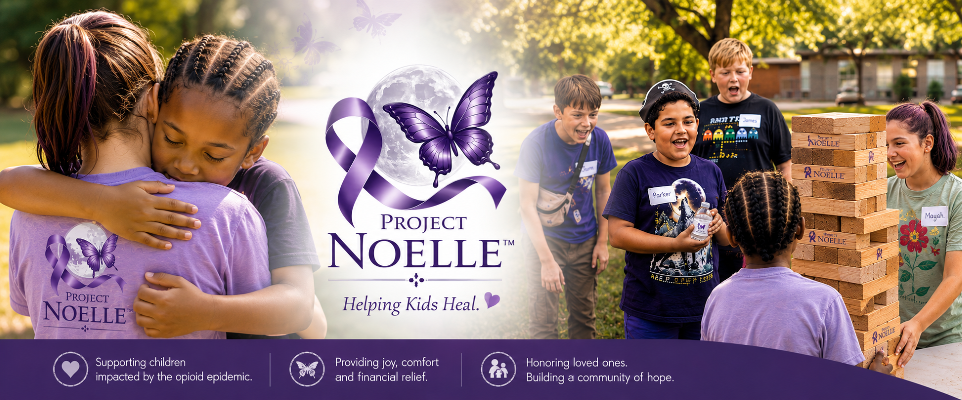 Project Noelle.png
