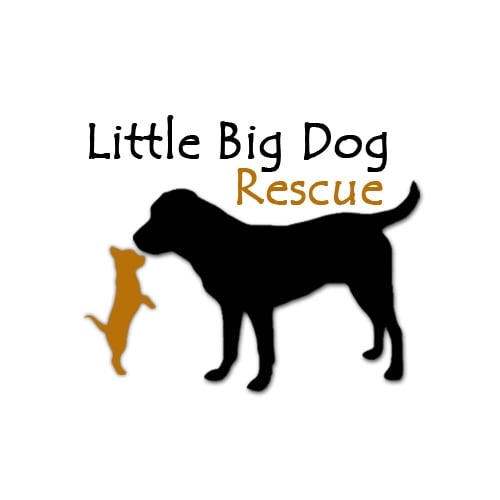 Little Big Dog Rescue - Logo.jpg