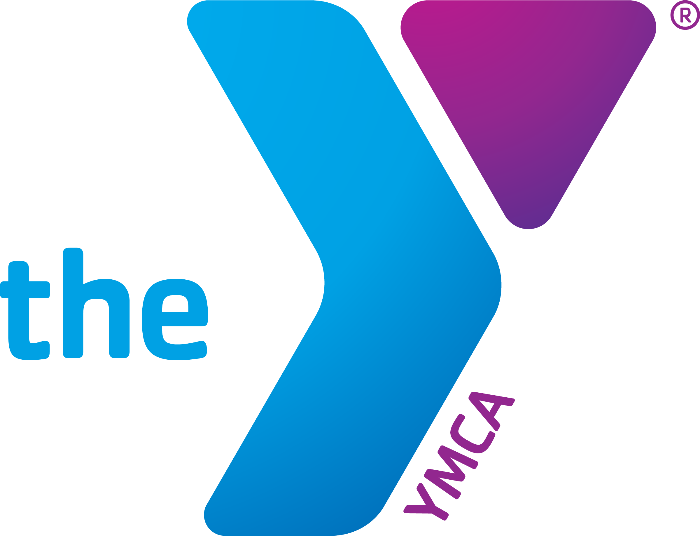 27 - YMCA of Metropolitan Detroit - Logo.png